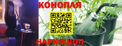 МДПВ Заводоуковск