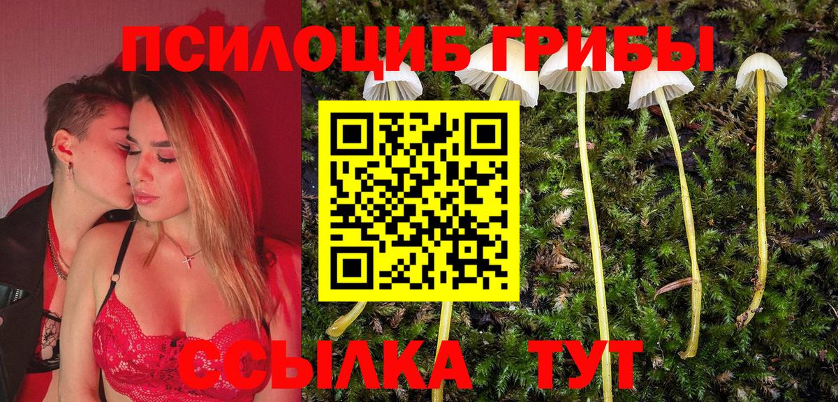 Галлюциногенные грибы ЛСД Нарьян-Мар