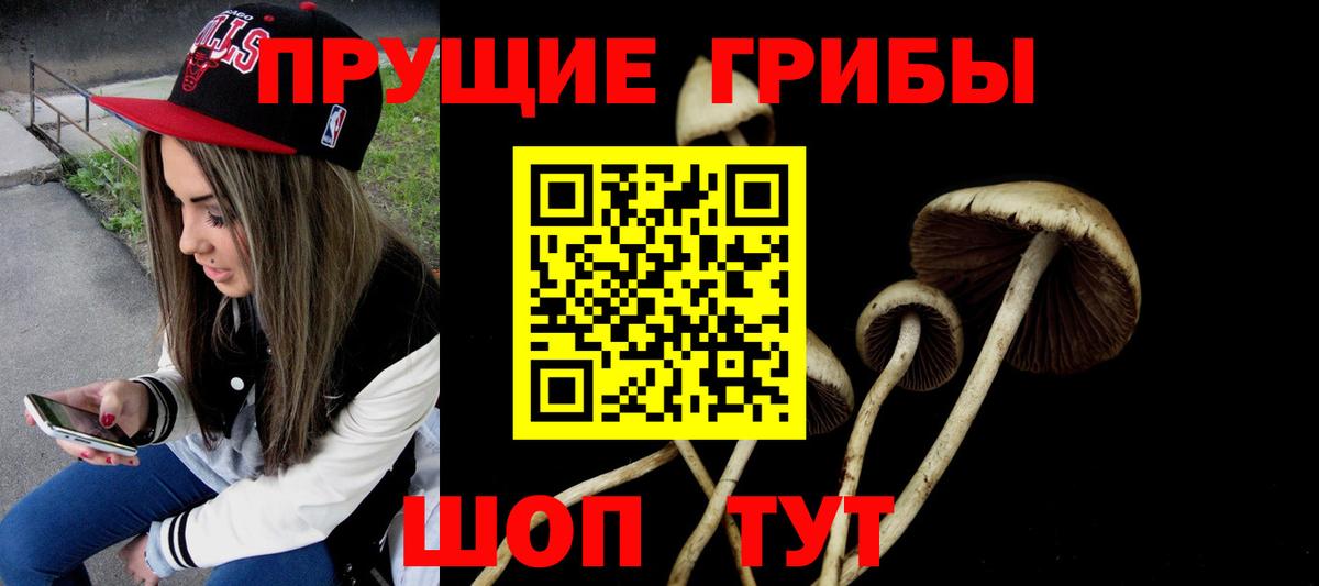 Псилоцибиновые грибы мицелий  Вход с VPN  где можно купить наркотик  Нарьян-Мар 